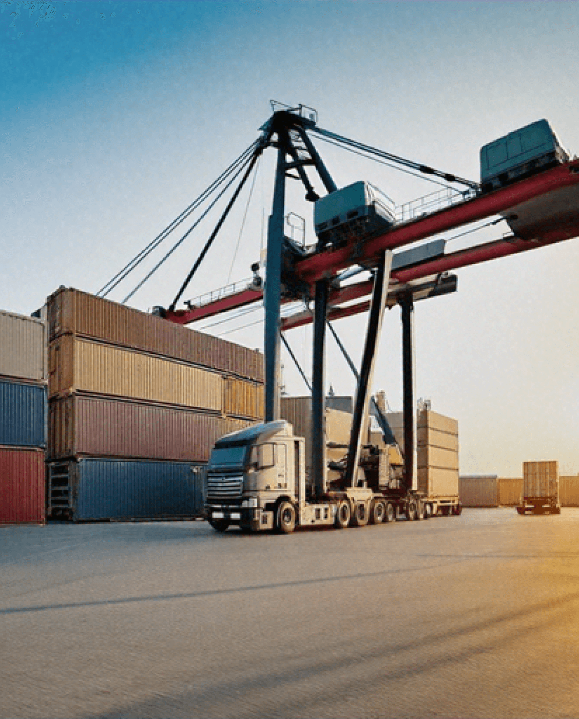 Cargo Owners